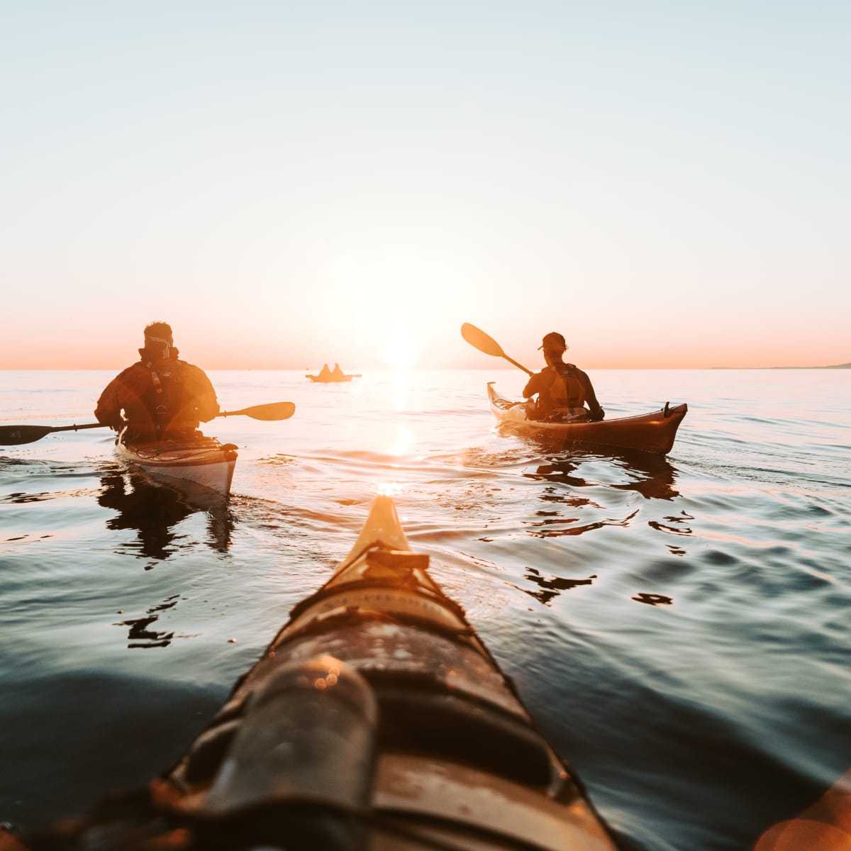 Groupe de kayakistes sur le fjord au coucher de soleil.