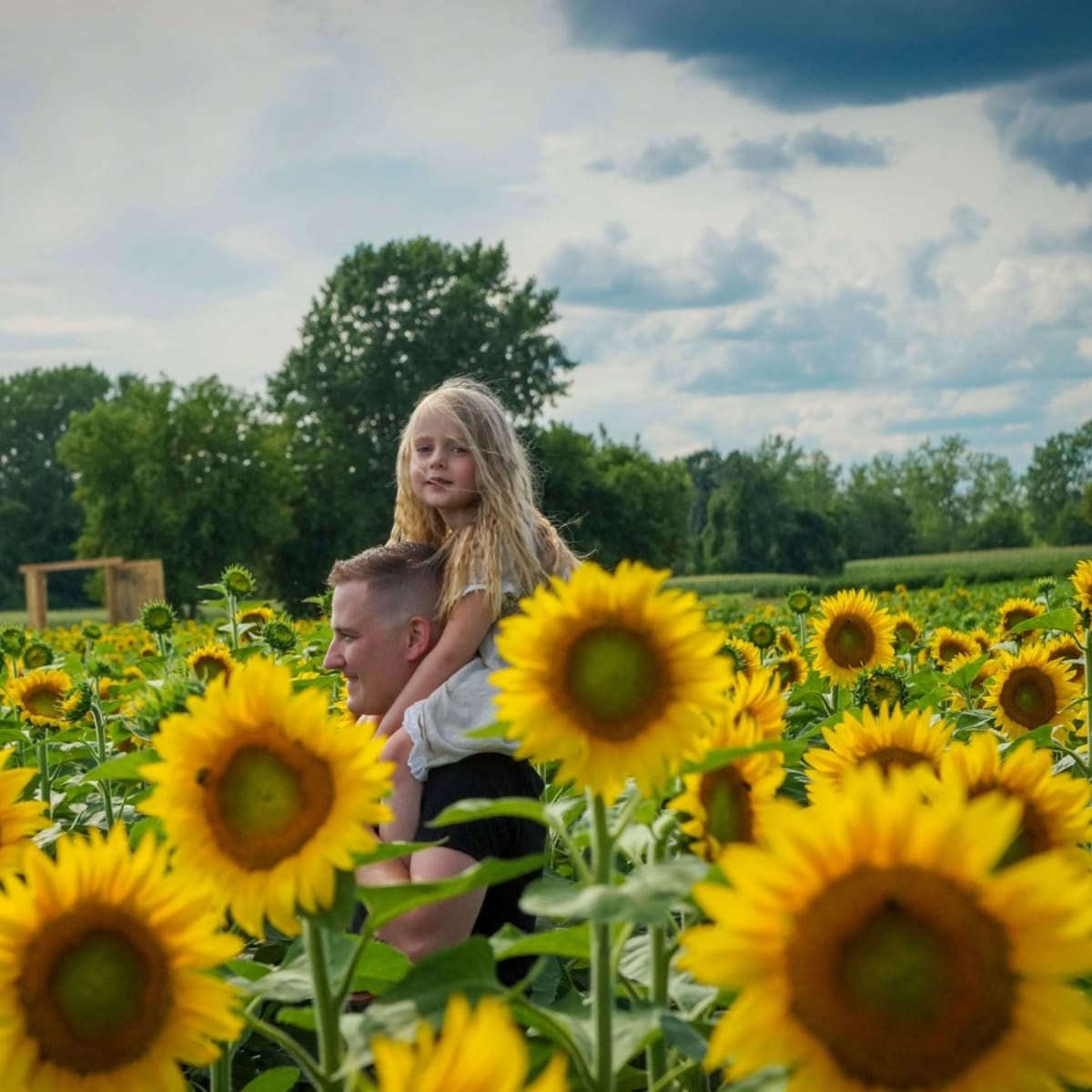 Father and daughter in a field of sunflowers in Laval.