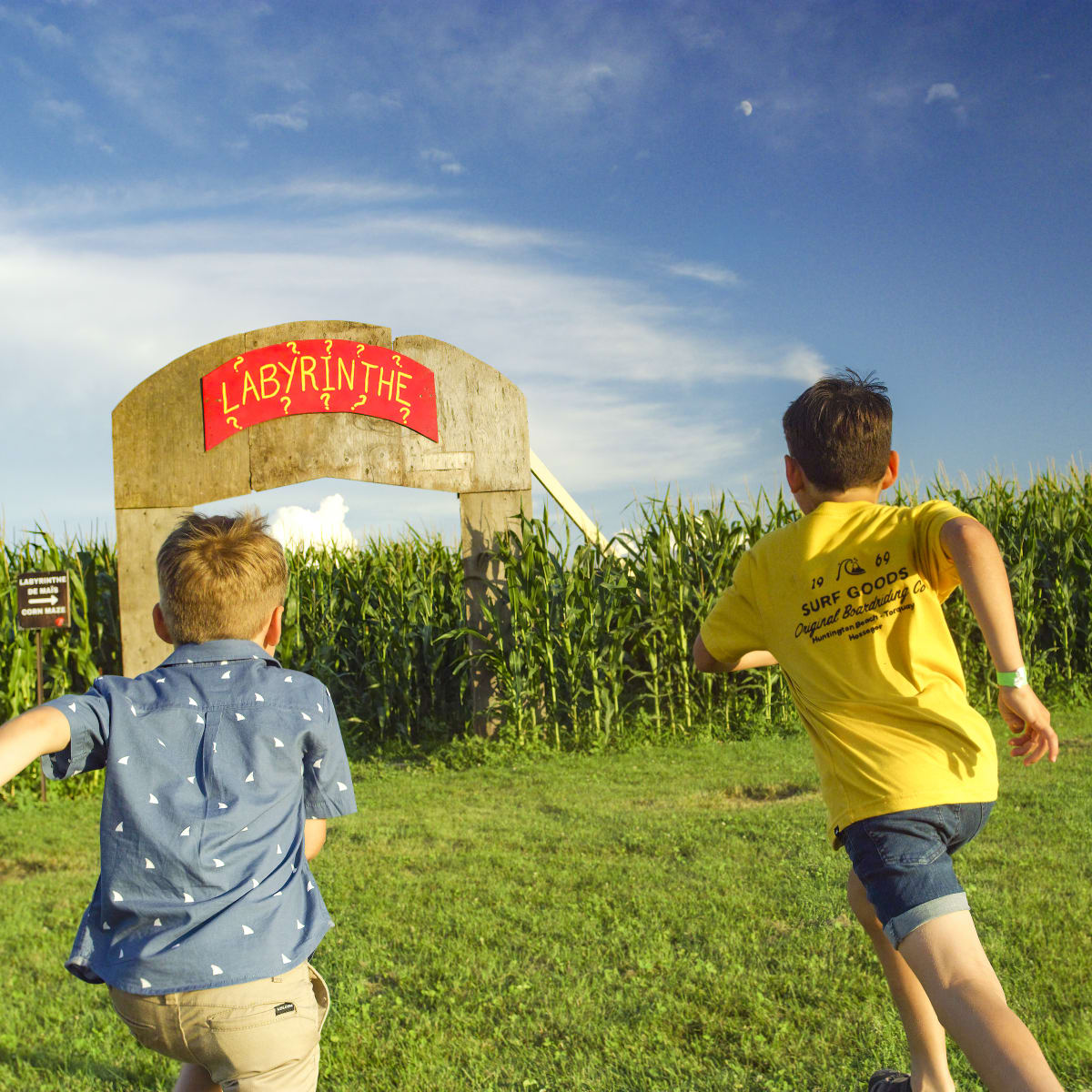 Deux jeunes garçons courant en direction d’un labyrinthe de maïs.