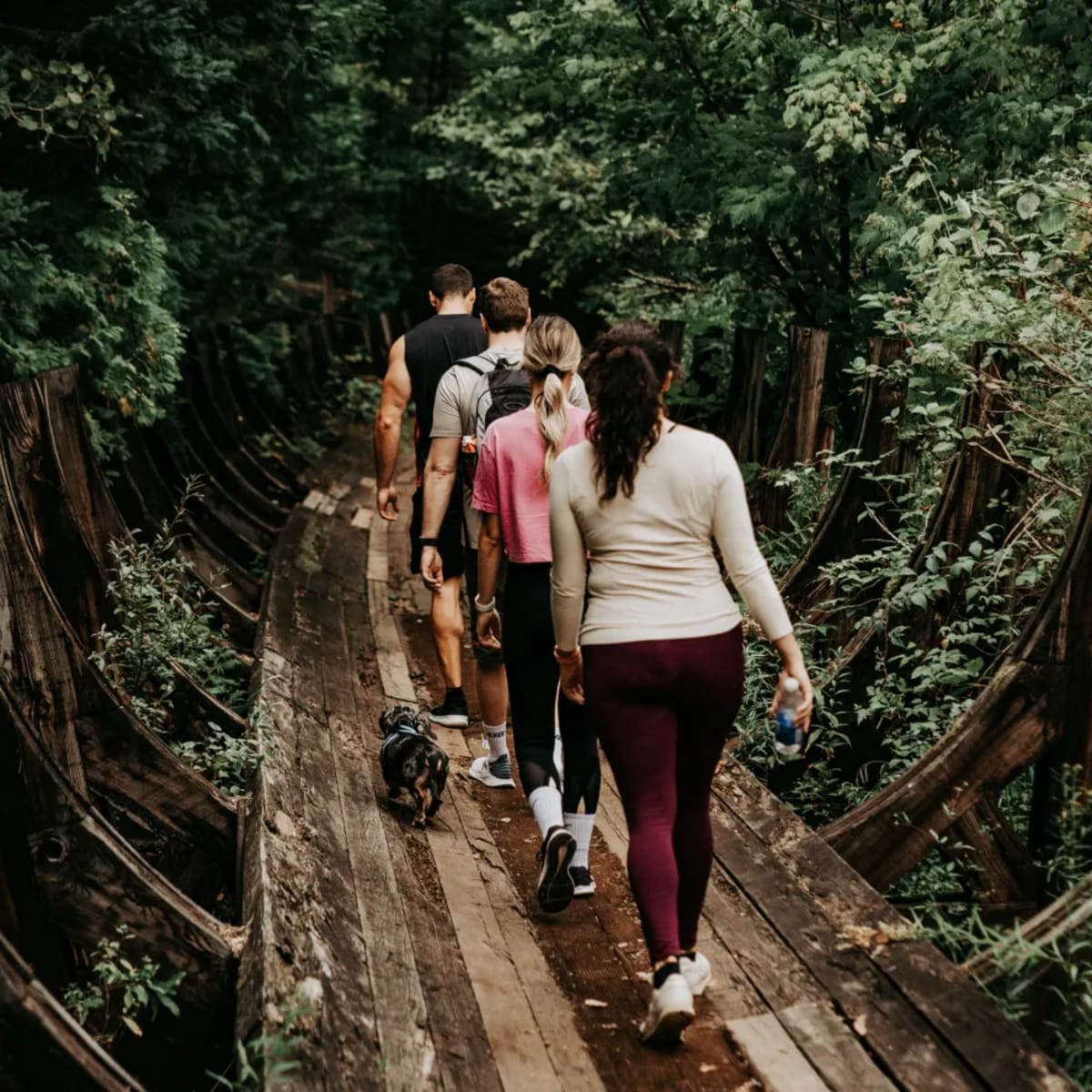 Groupe de personnes en train de marcher sur une vieille structure en bois au cœur de la forêt.