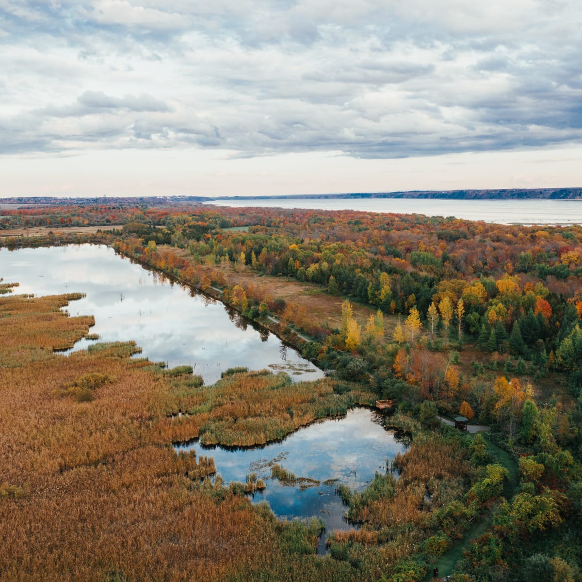 Lac et paysage automnal légèrement ennuagé.