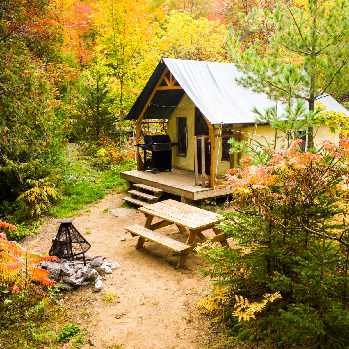 Chalet dans la forêt dans un décor automnal.
