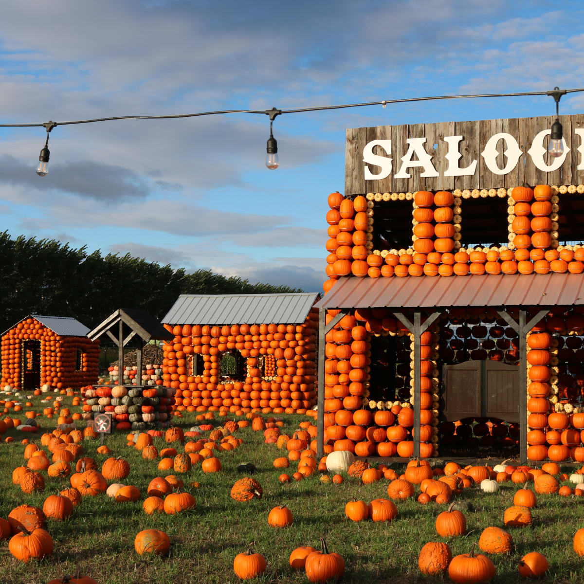 Décor de l'attraction Citrouilleville incluant un saloon construit avec des citrouilles.