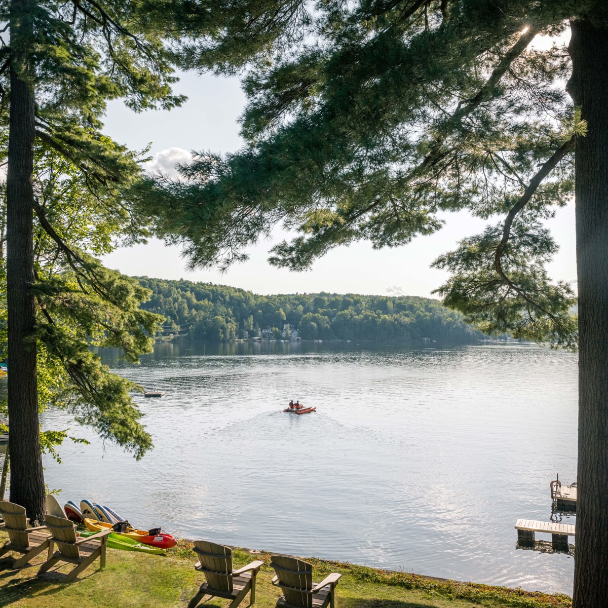 Ripplecove - Have fun in an exceptional environment