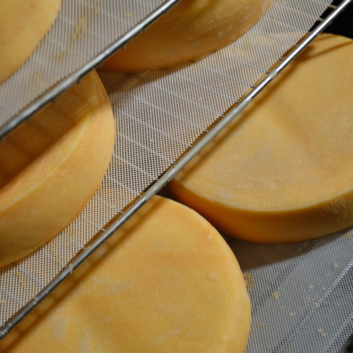 Fromage de la Famille Migneron, sur la Route des Saveurs de Charlevoix.