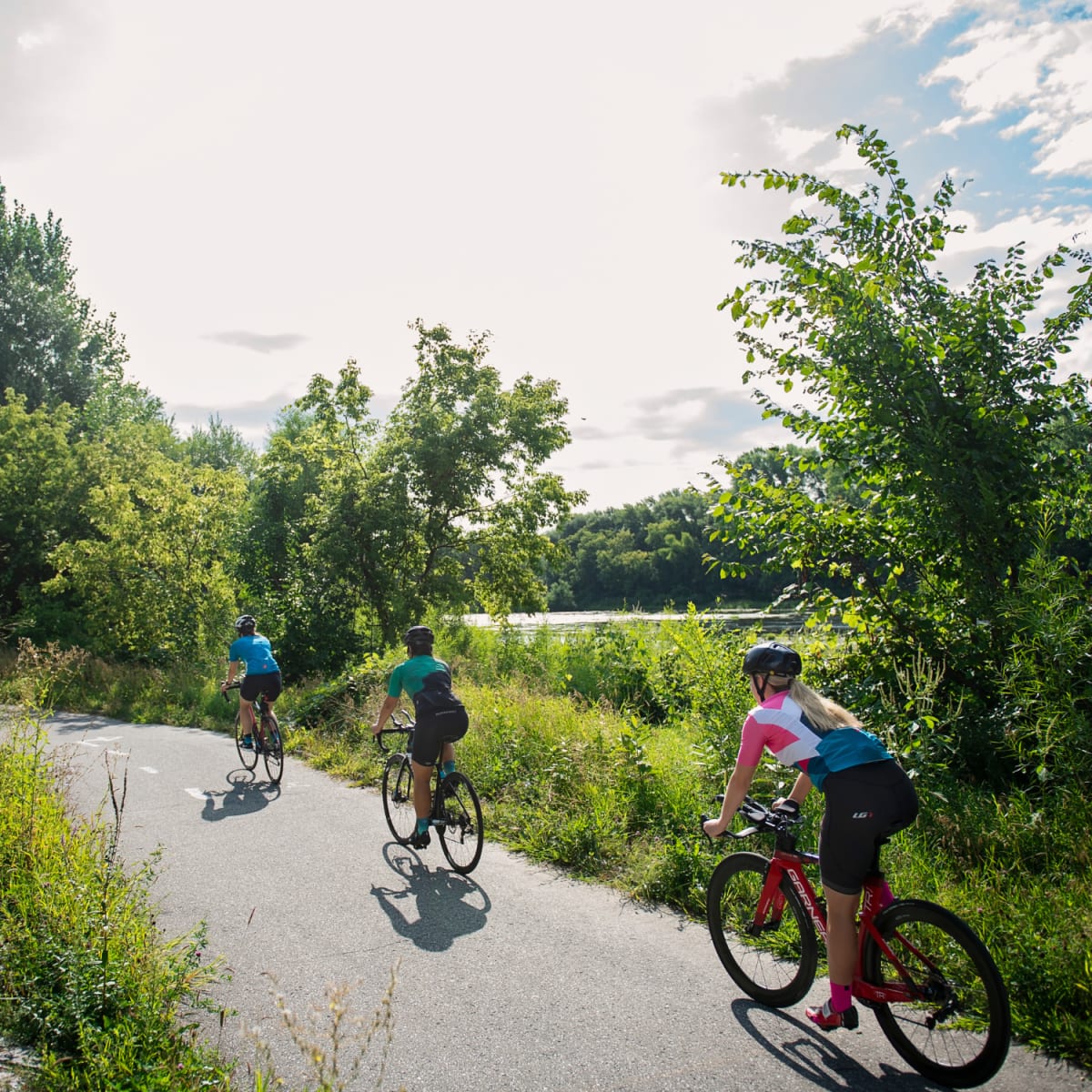 Three cyclists on a nature trail. 