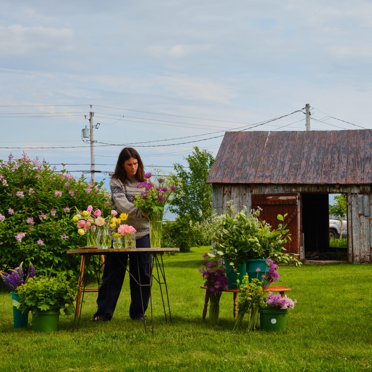 Fleuriste, dans le Secteur Cratère et marées.