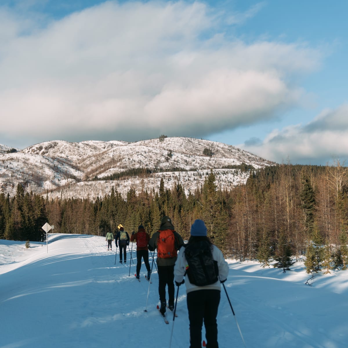 Ski de fond au Parc national des Grands-Jardins, dans le Secteur des Montagnes.