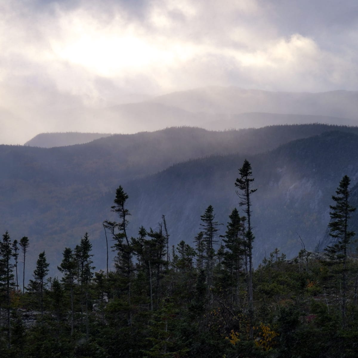 Paysage dans le Secteur des Montagnes.