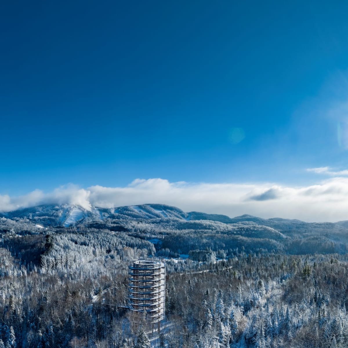 Le sentier des cimes en hiver.