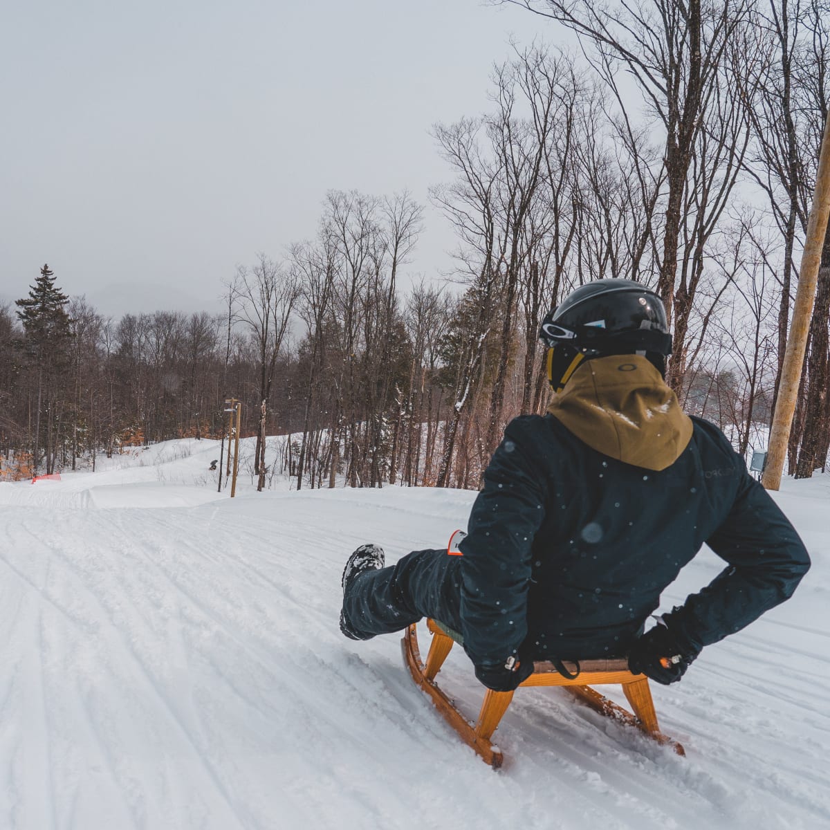 Luge alpine.