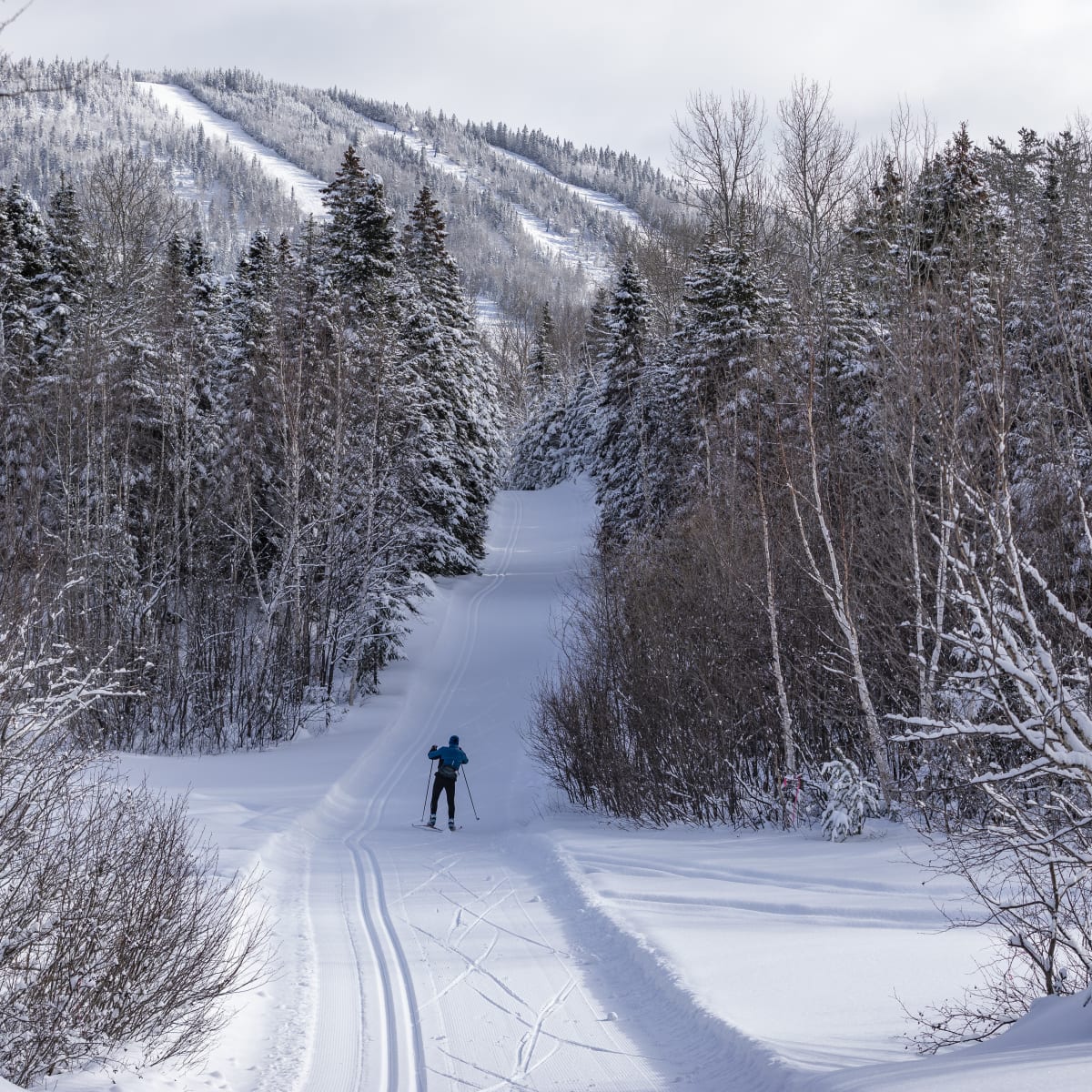 Ski de fond au Mont Grand-Fonds