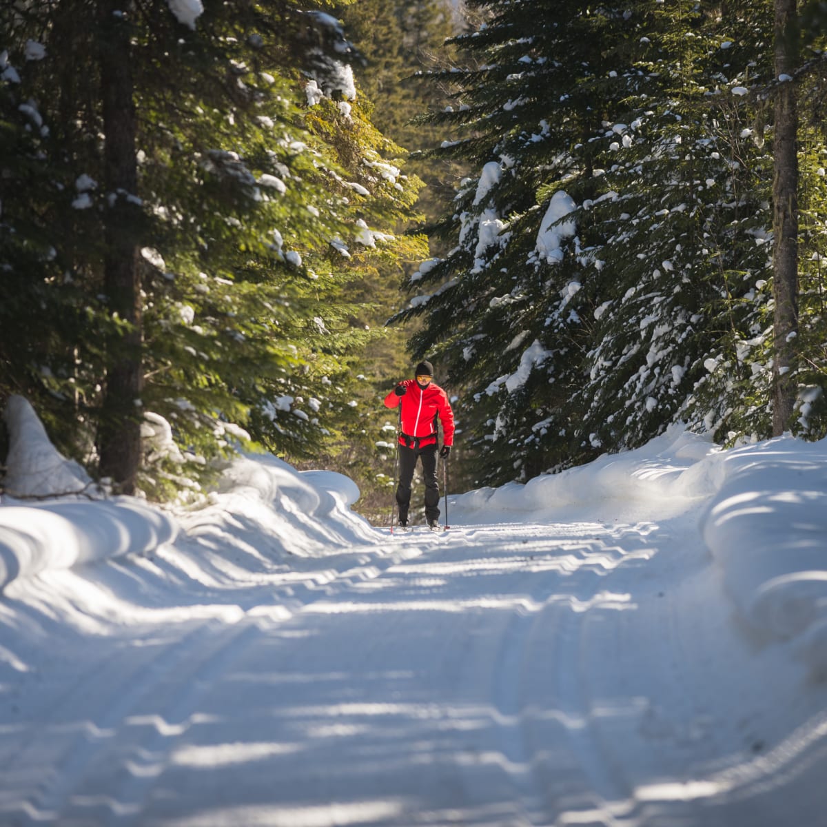 Ski de fond au Mont Grand-Fonds