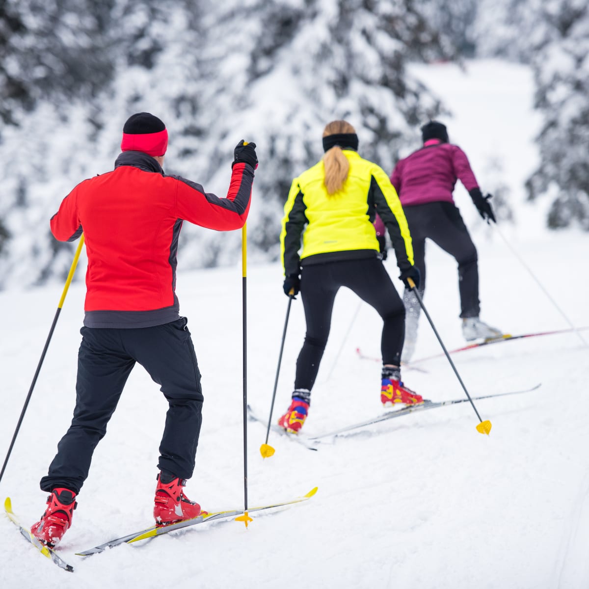 Ski de fond au Mont Grand-Fonds