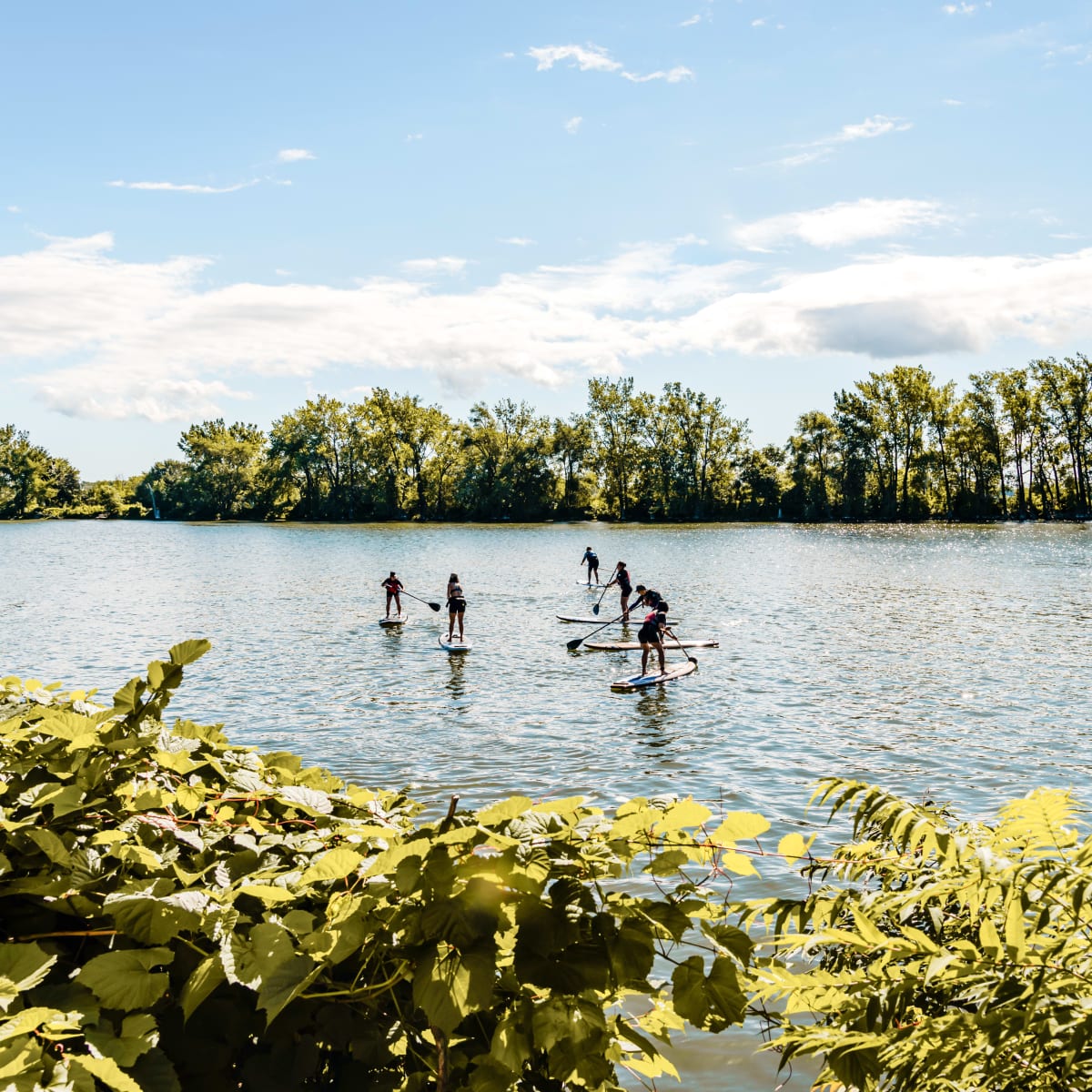 Summer SUP lessons on the river. 