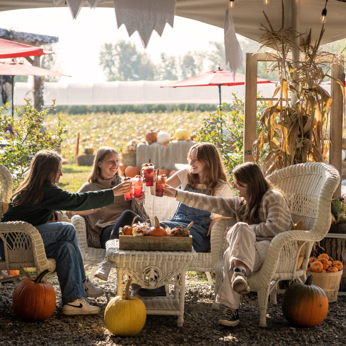 Terroir et Saveurs du Québec: Automne, Moment entre amies.