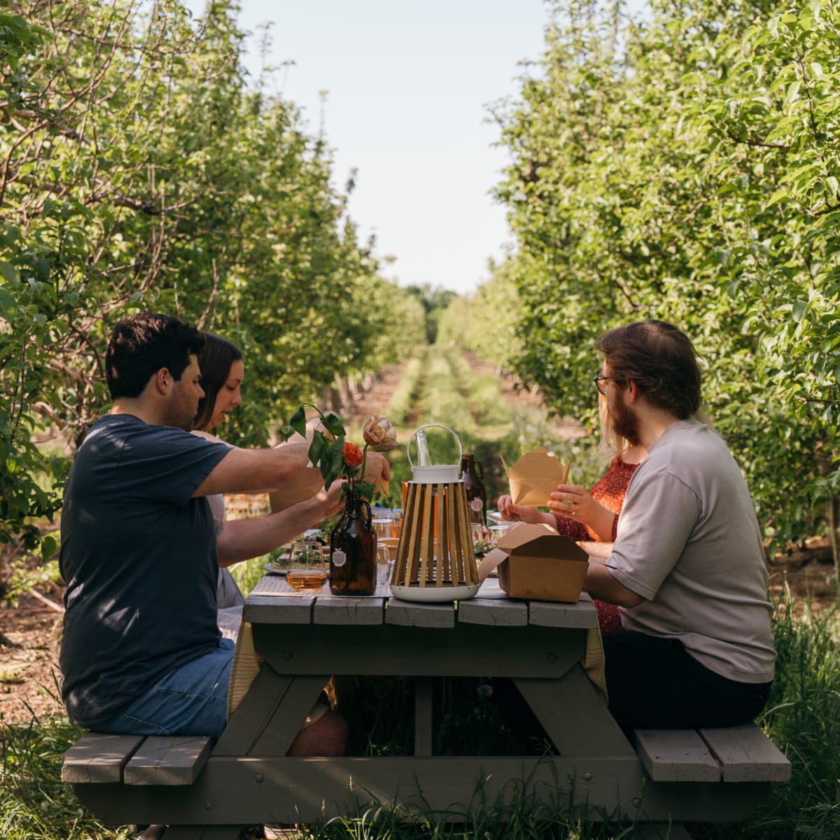 Four people sitting at a picnic table, enjoying a gourmet meal in the middle of an orchard.