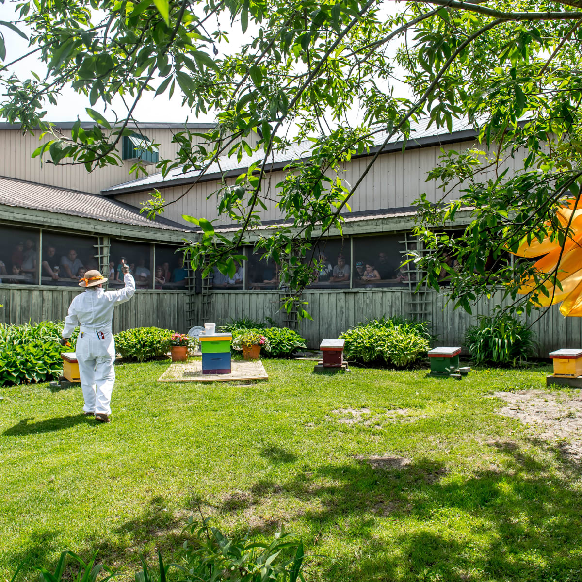 A person wearing protective gear, surrounded by beehives, is speaking to visitors inside a building.