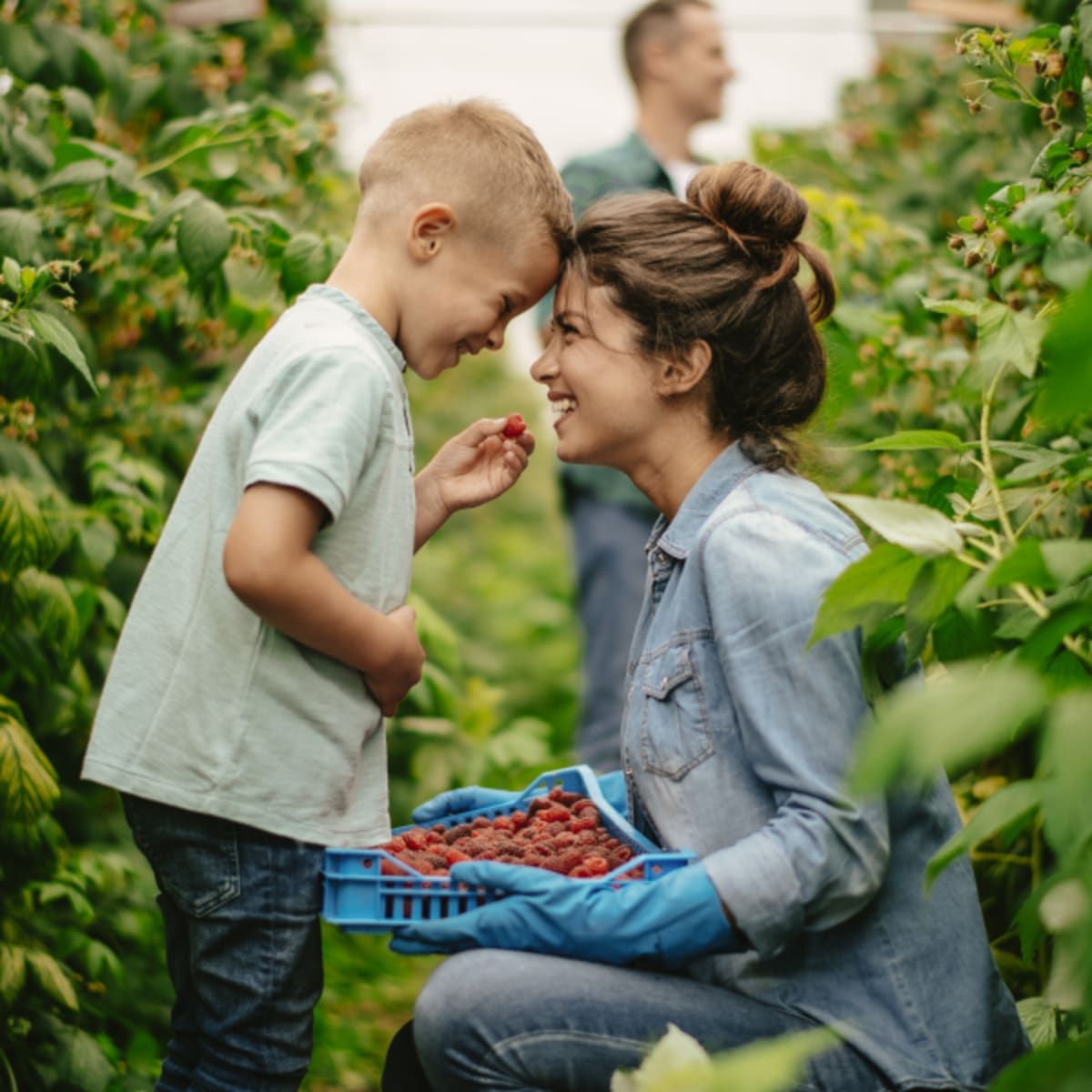 Terroir et Saveurs du Québec : famille
