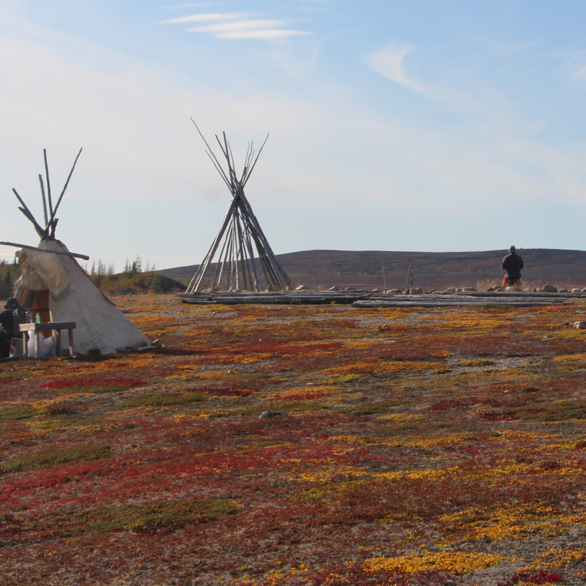 Tipis dans un cadre automnal au Québec.