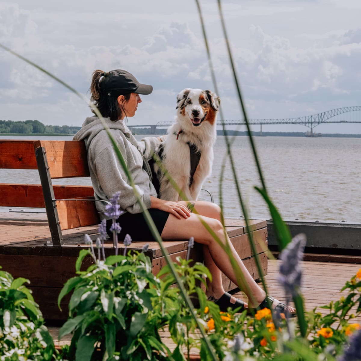 Tourisme Centre-du-Québec : travel with dog