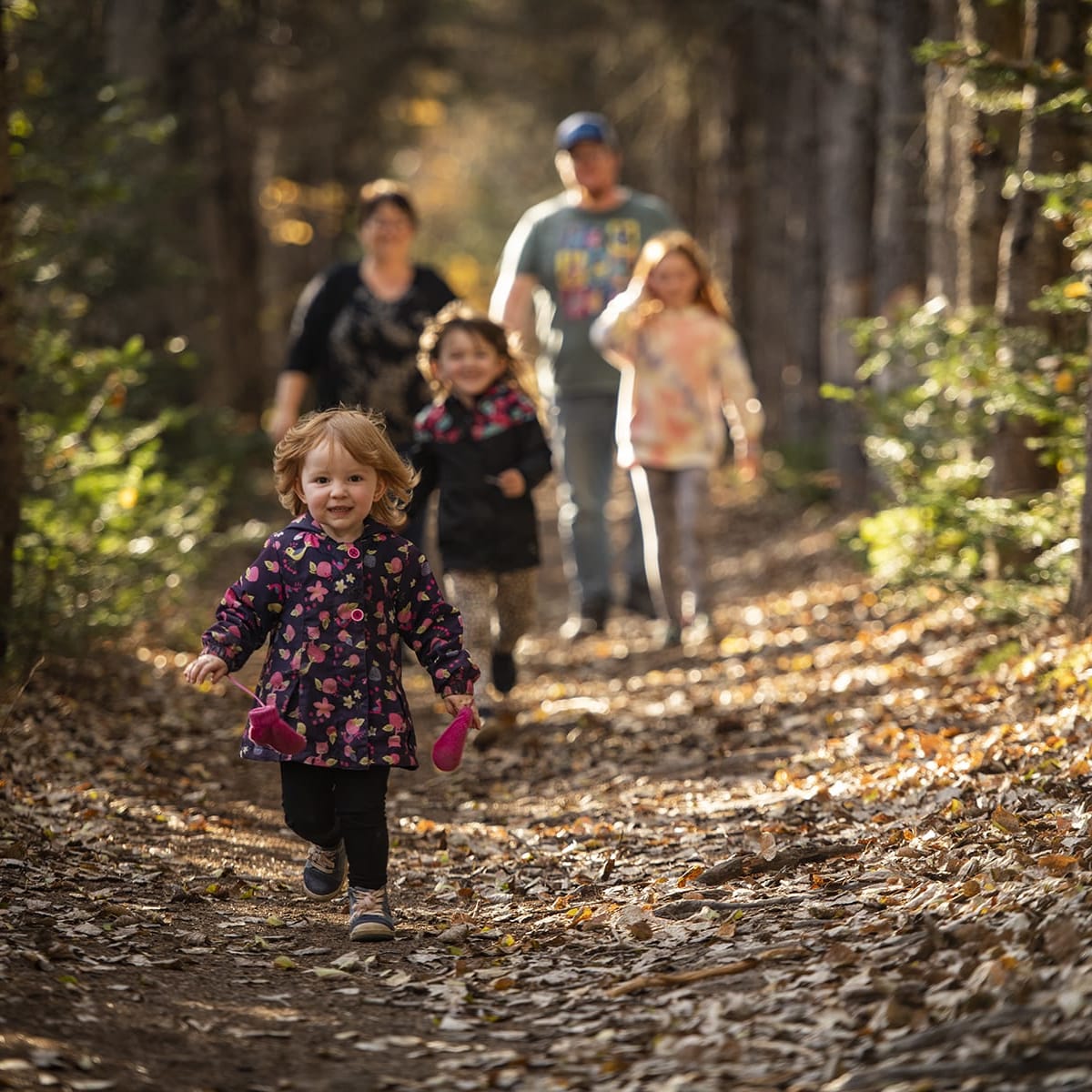 Family in a forest trail in Côte-Nord in the fall.