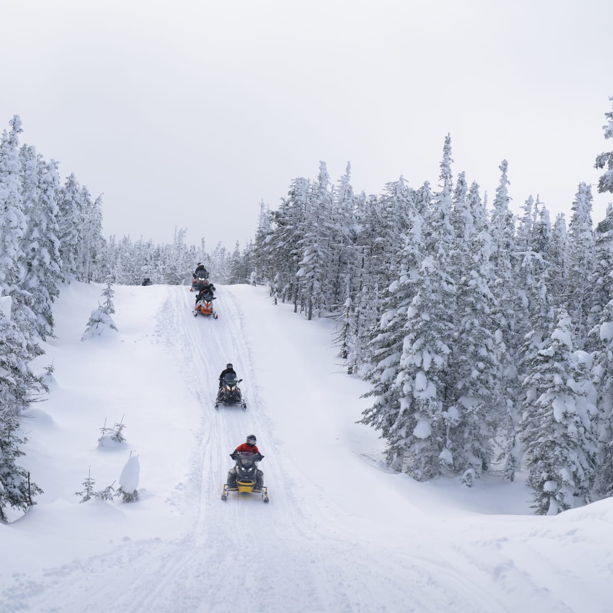 Côte-Nord