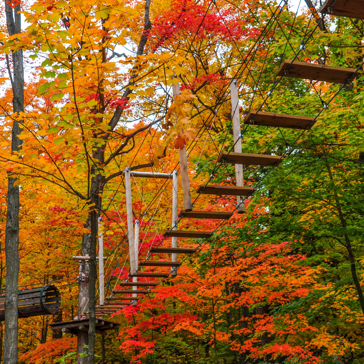 Tourisme Drummondville treetop adventure among vibrant fall colors
