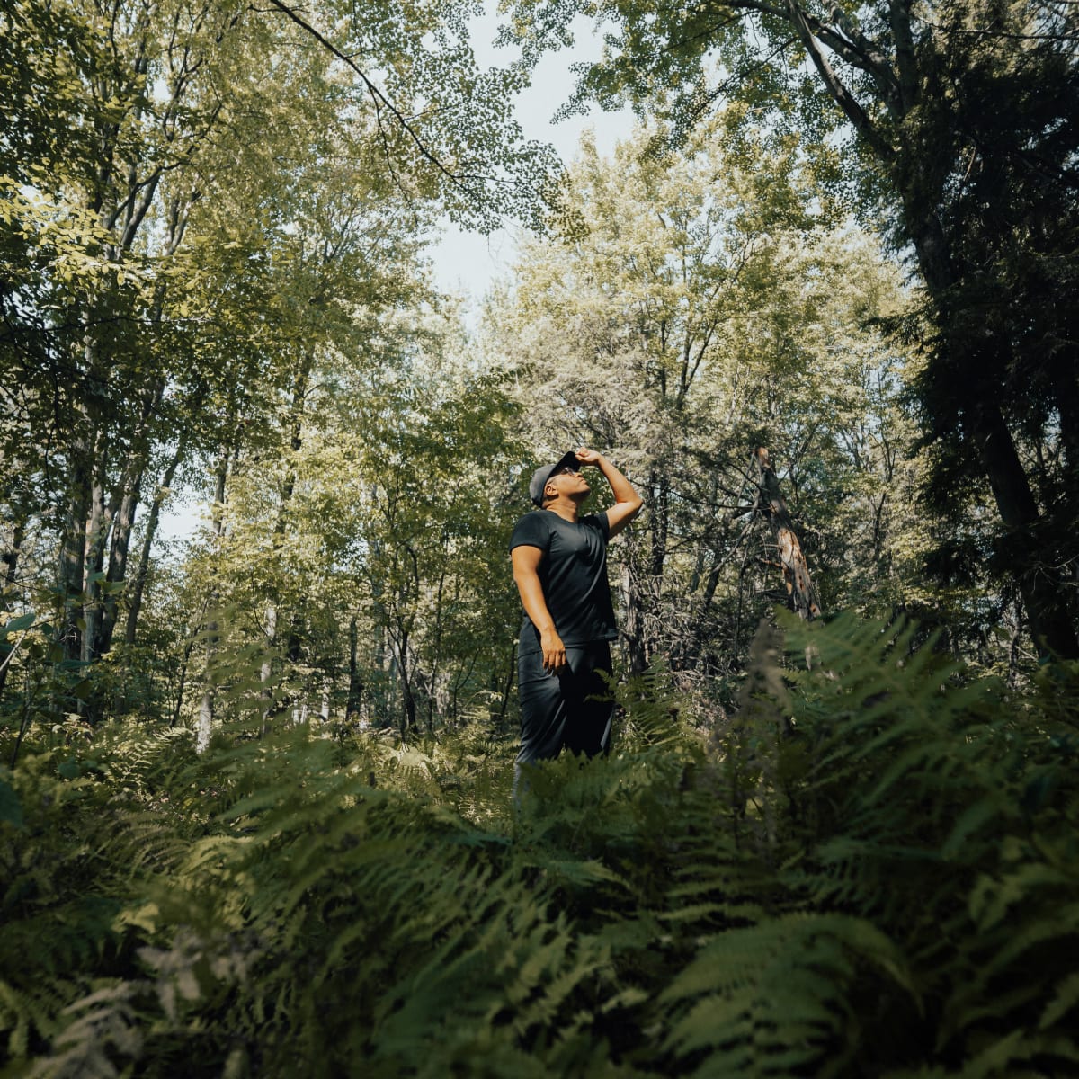 Hiking trail