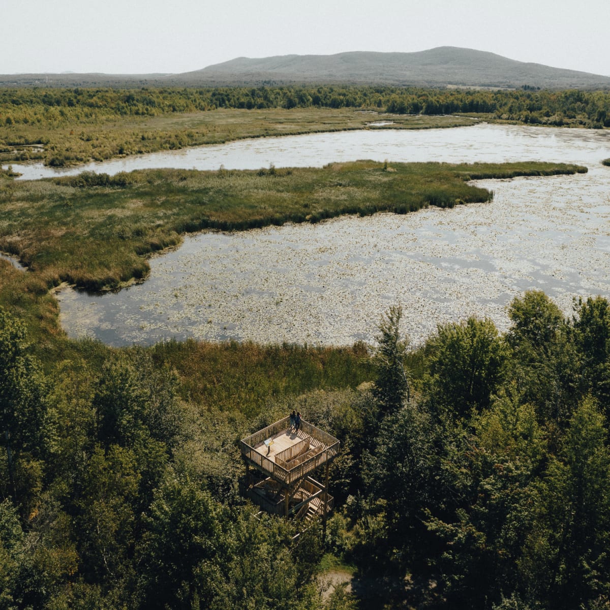 Centre d'interprétation de la nature du Lac Boivin.