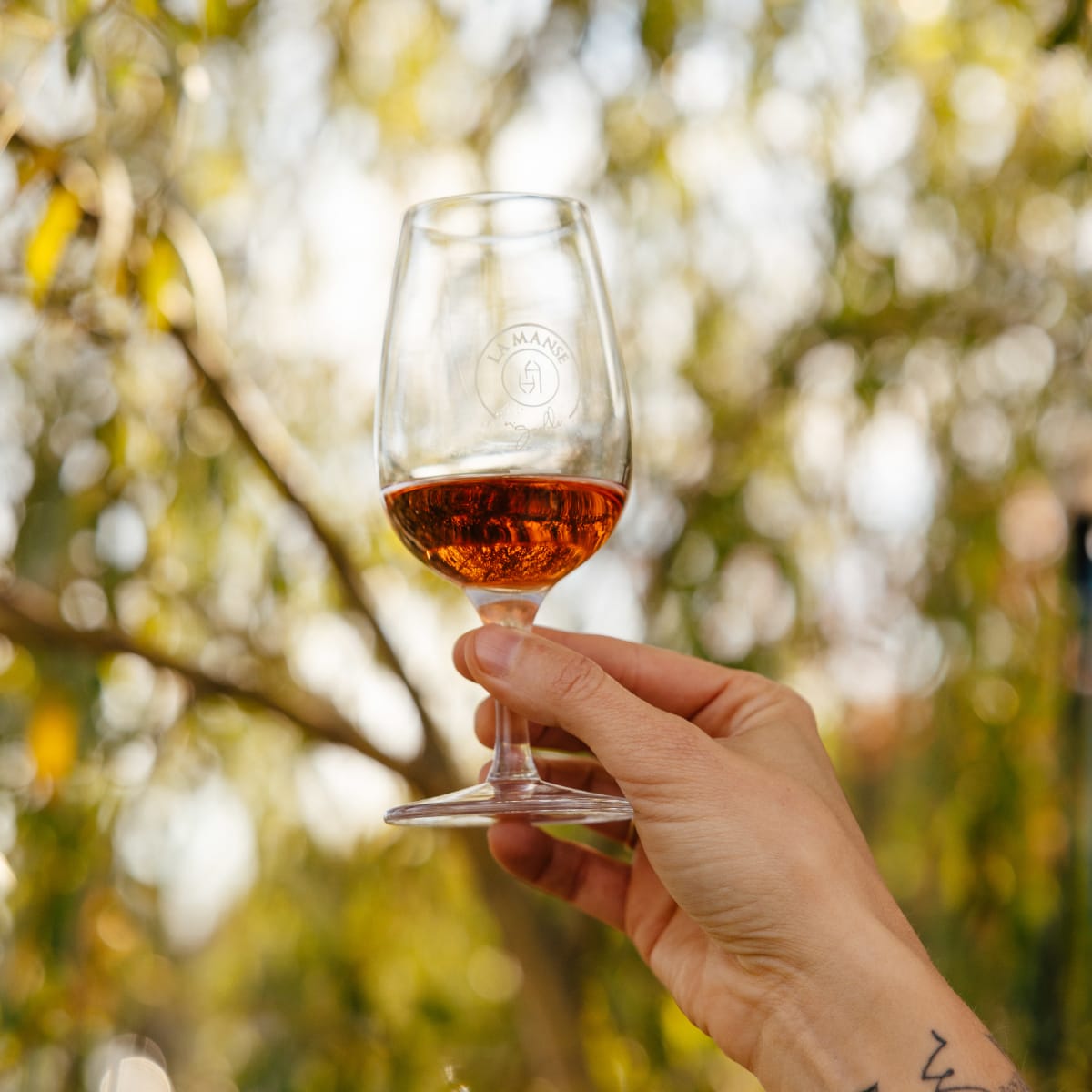 A wine tasting glass held against a backdrop of lush greenery.