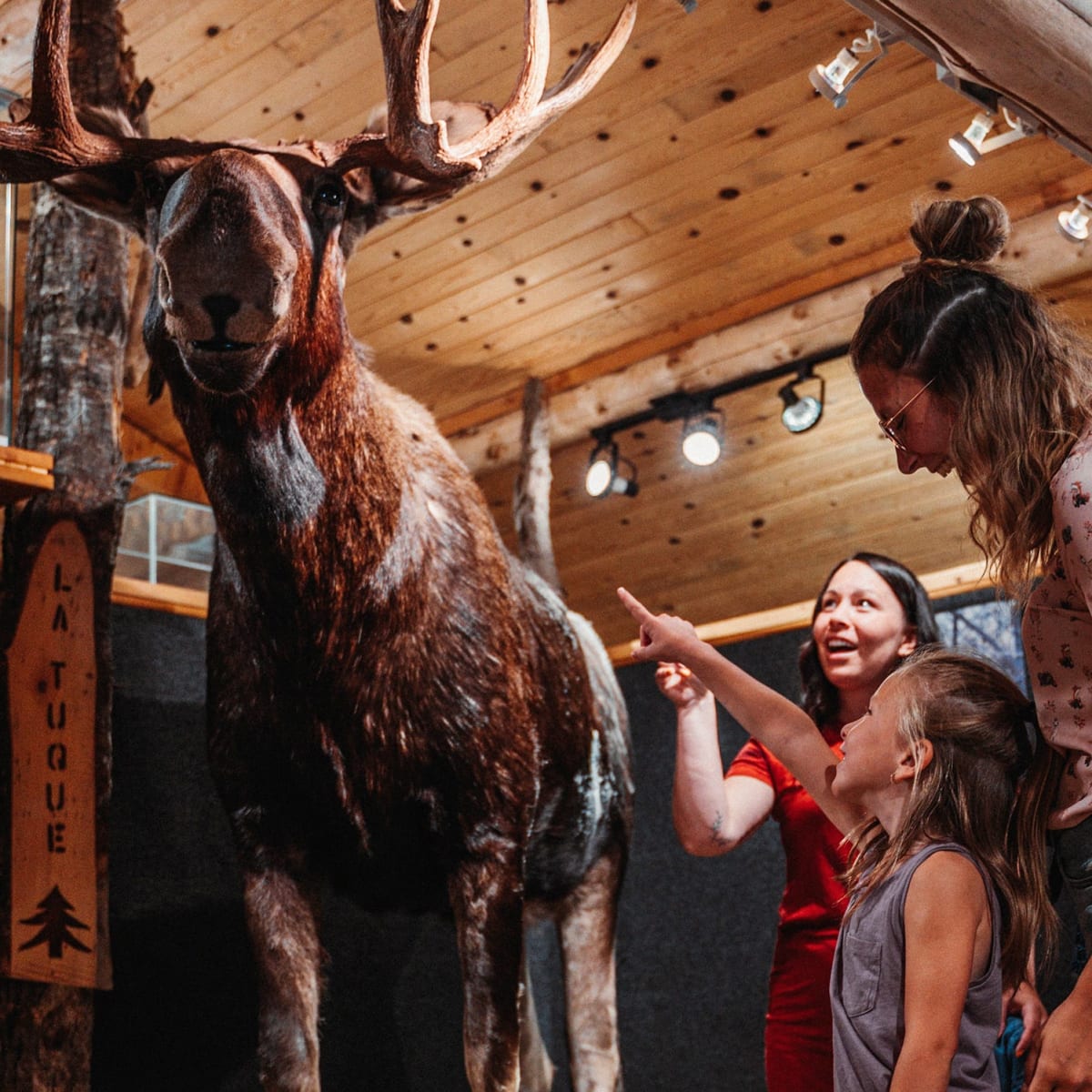 A family looking at a stuffed moose.