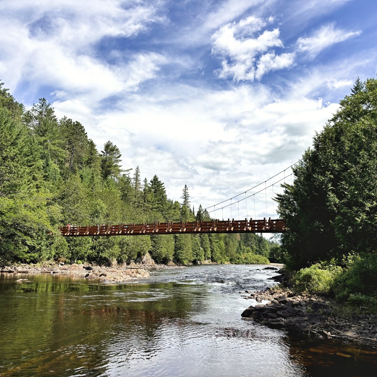 Pont suspendu au Parc régional de la Forêt Ouareau