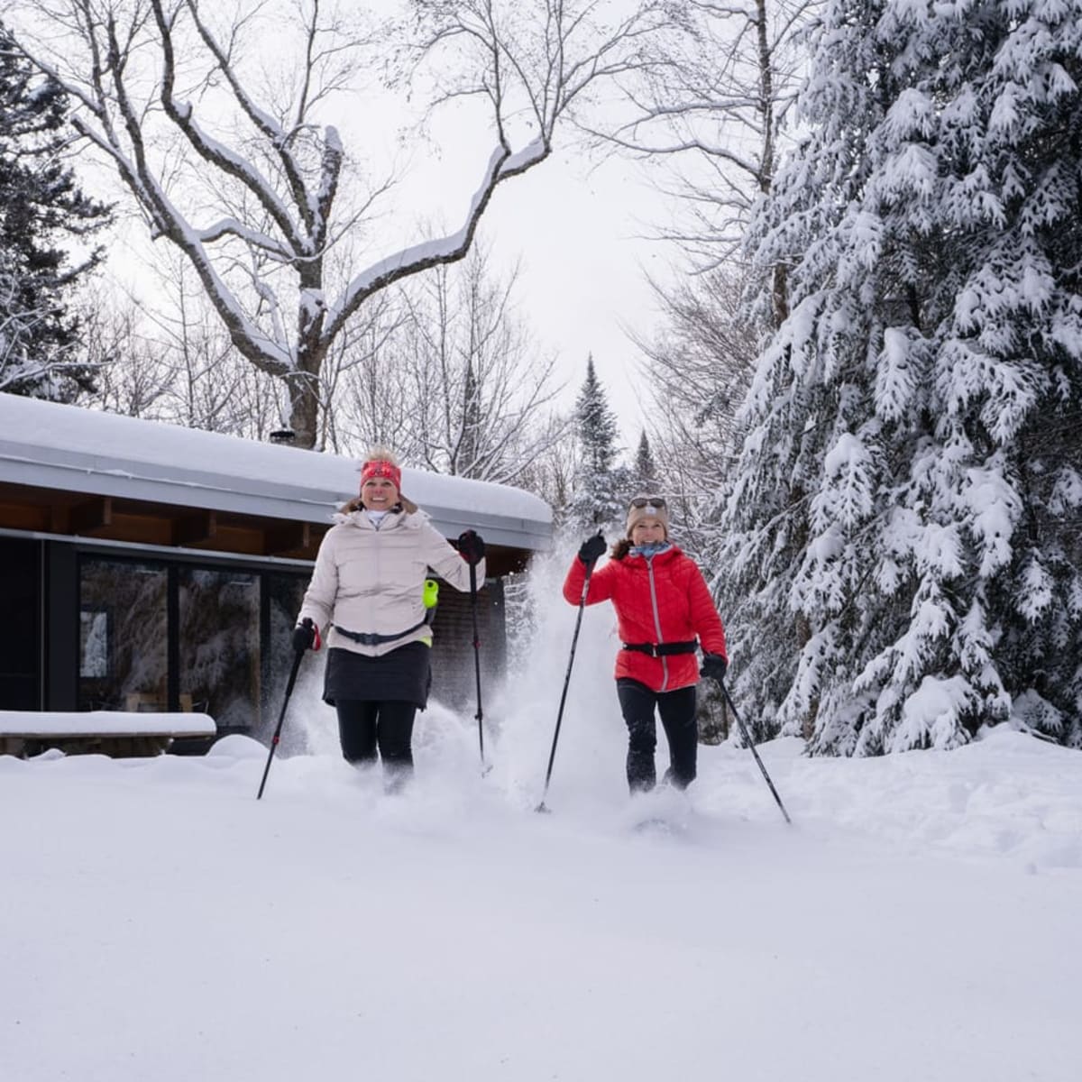 Deux personnes en ski de fond.