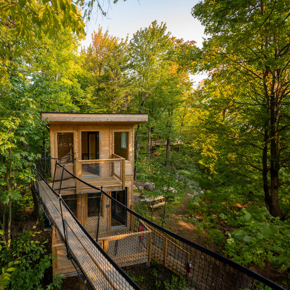Refuge perché dans les arbres avec une grande passerelle.