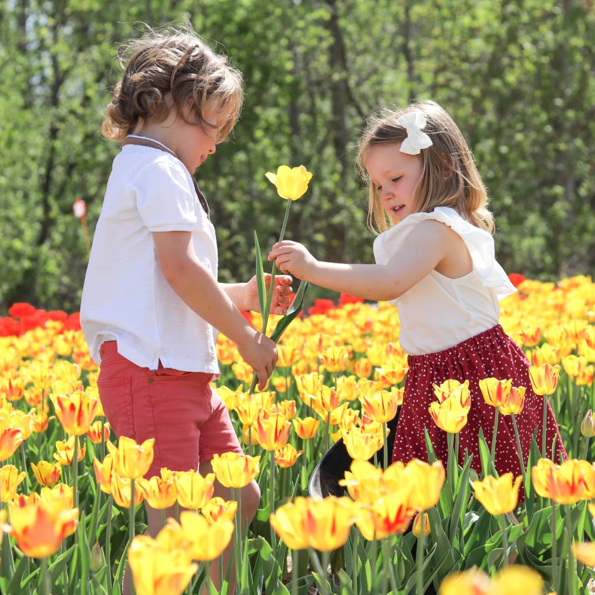 Deux filles dans un champ de tulipes