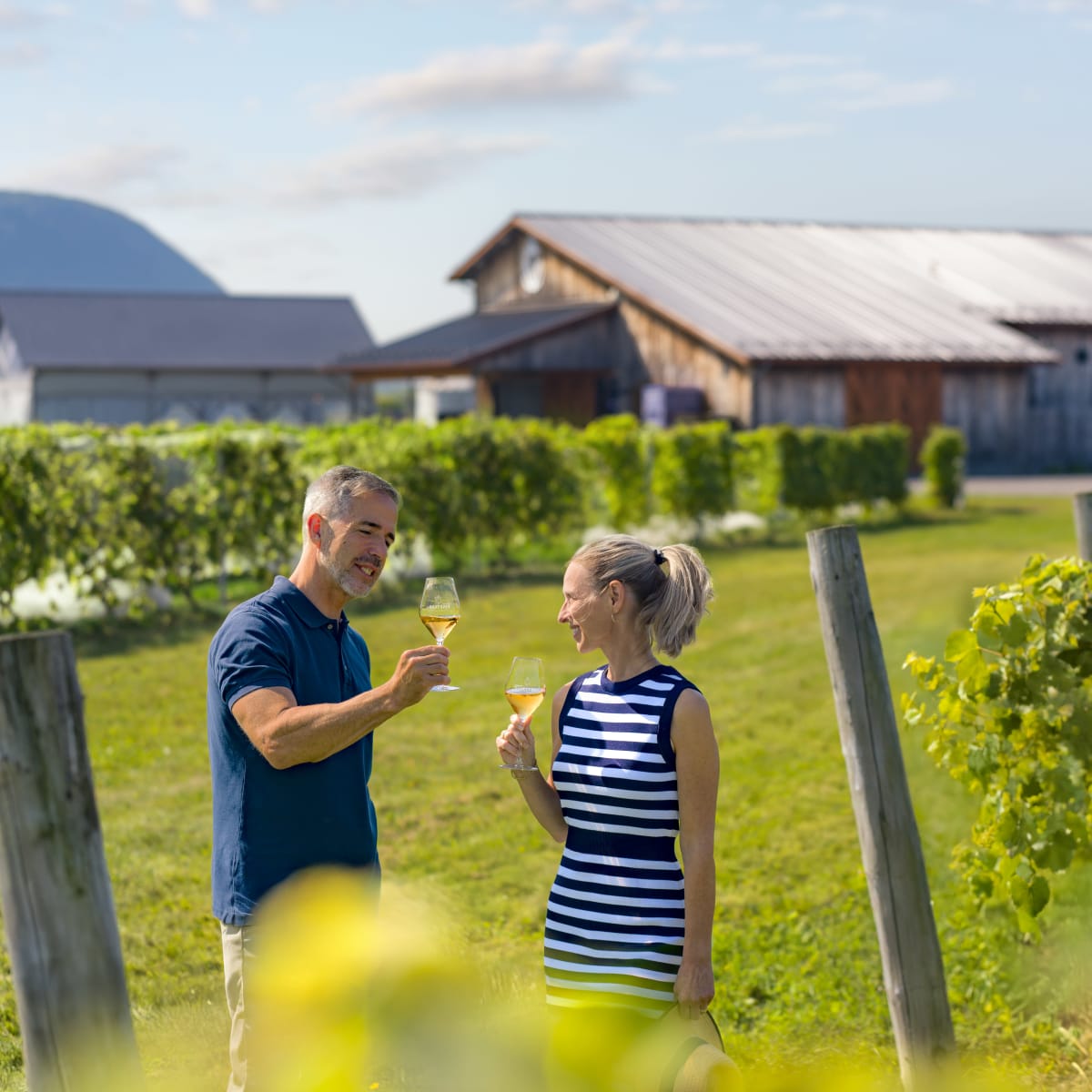A couple tasting wine in the vineyards.