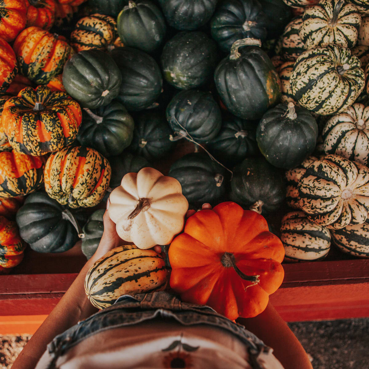 Panier de courges chez Courges et cie.
