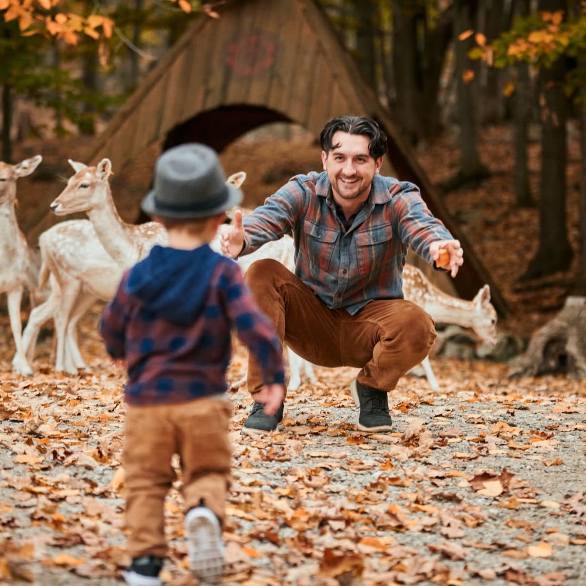Père et fils à côté de chevreuils au Parc Oméga.