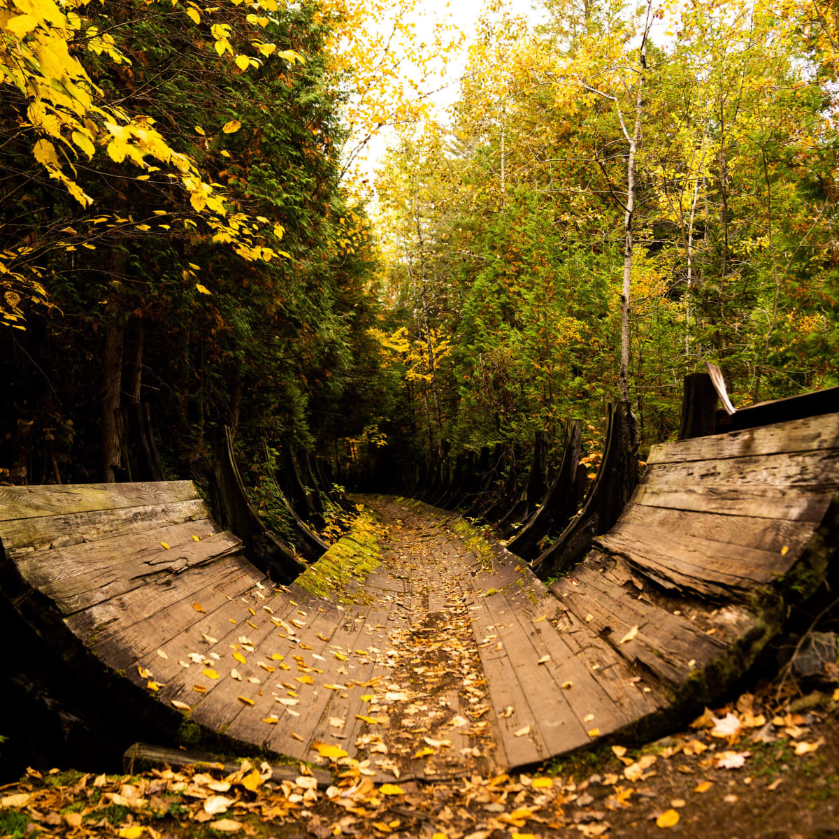 Parc régional de Portneuf à l'automne.