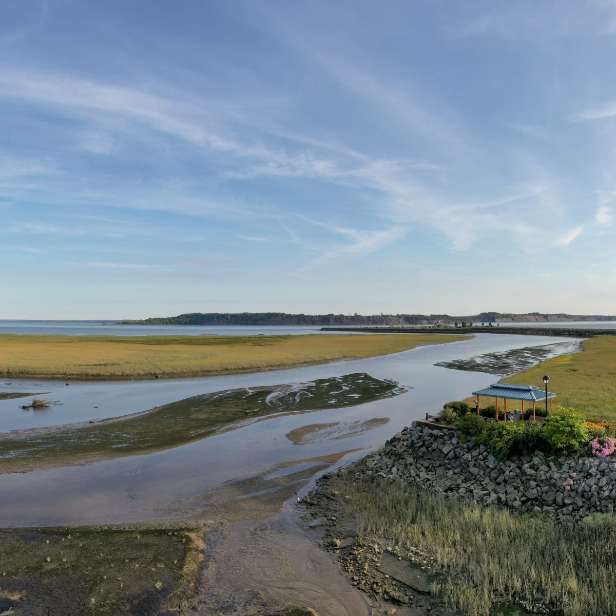 Marais dans la Région de Portneuf au printemps.