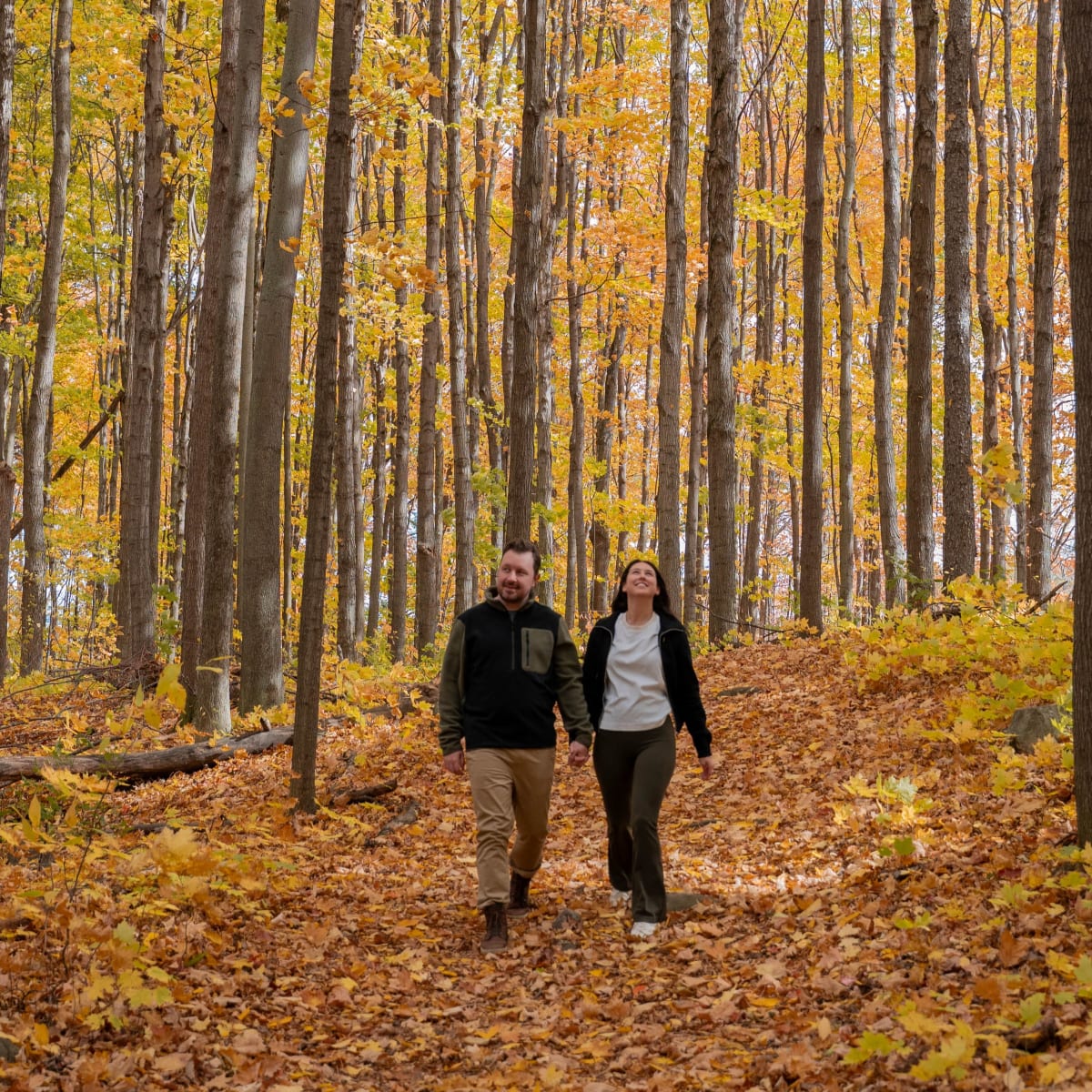 Couple marchant dans un paysage coloré d'automne.