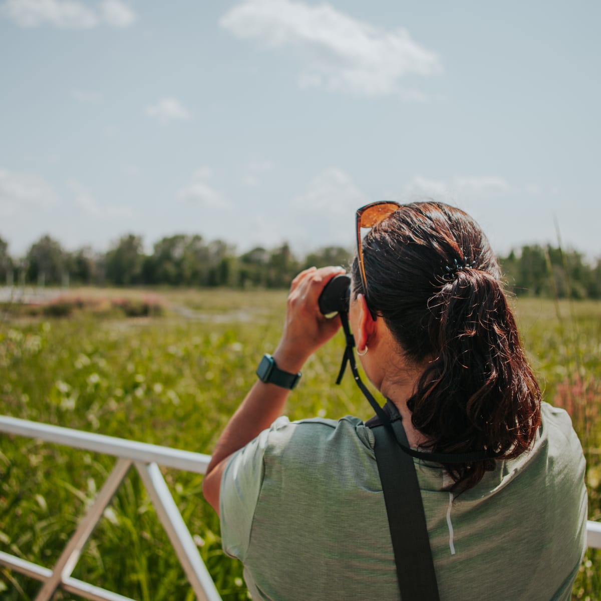 Woman bird-watching in the Plaisance park.