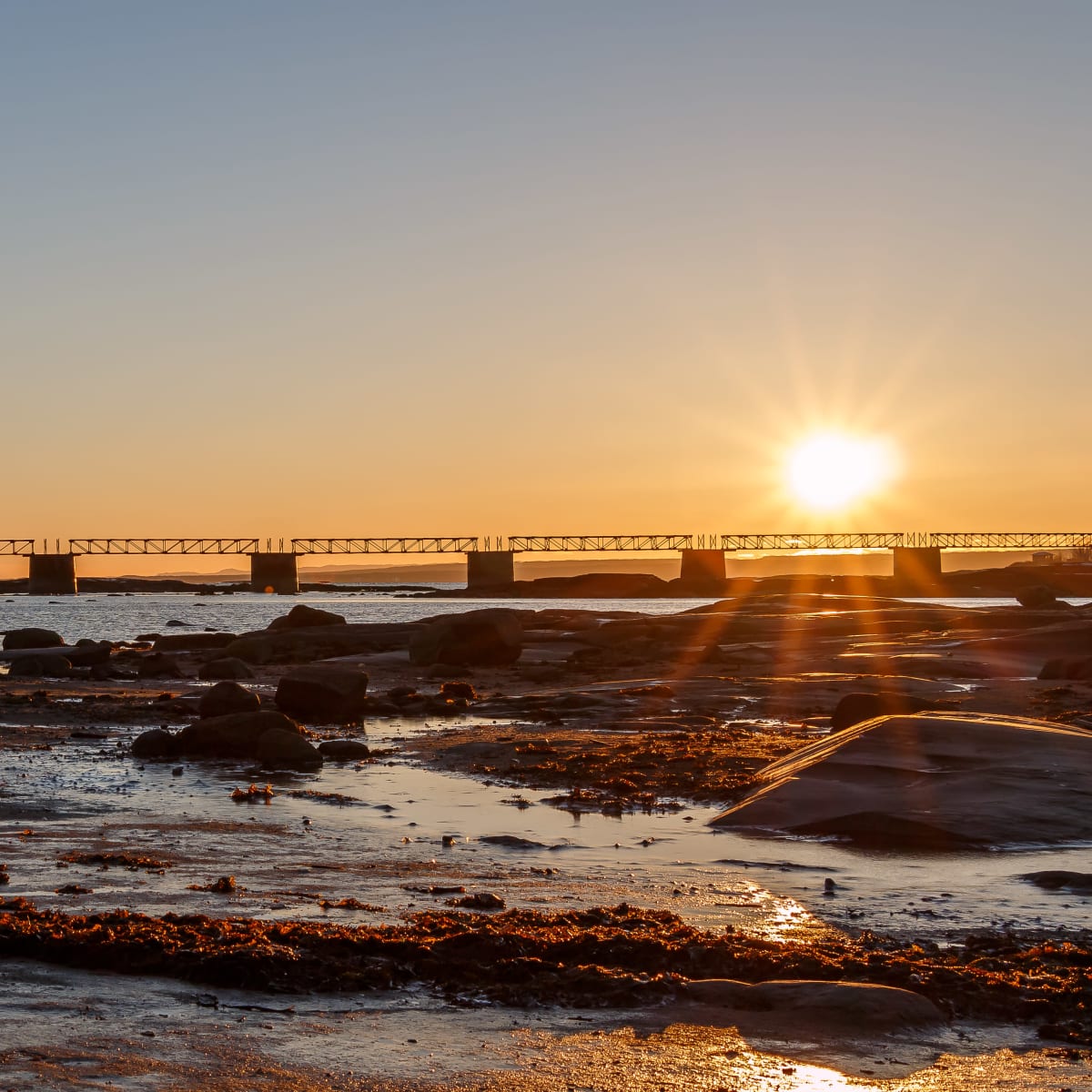 Lever du jour, île Patterson.