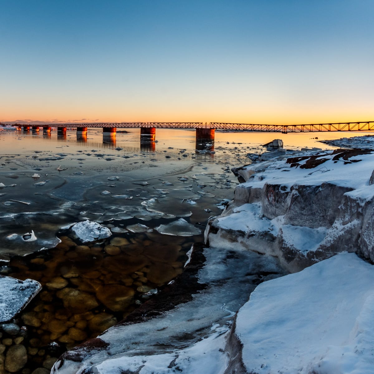 Fleuve glacé, Arboriduc.