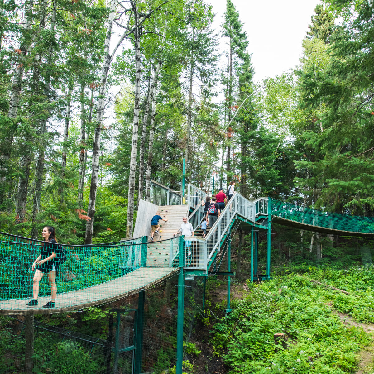 pont entre les arbres.