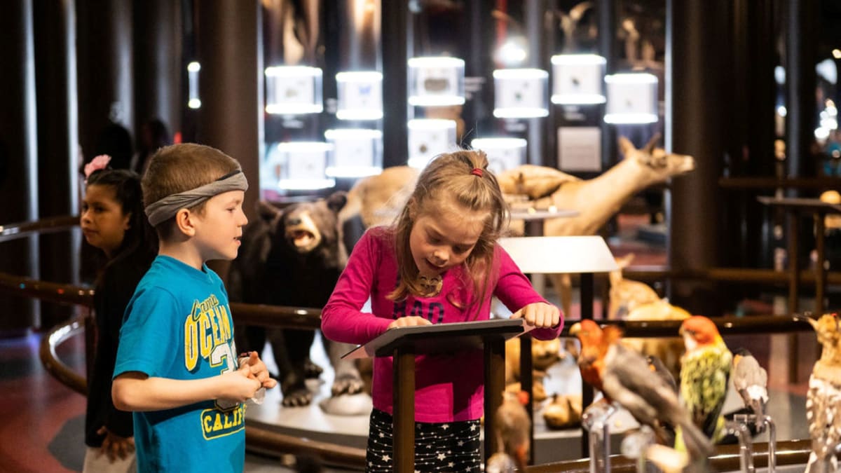 Enfants à l'exposition Alter Anima du Musée de la nature et des sciences de Sherbrooke.