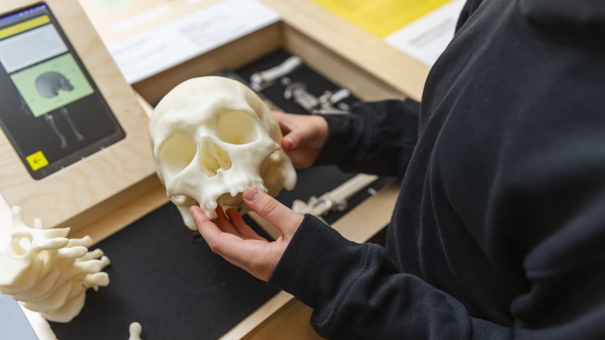 L’exposition Archéologie et enquêtes criminelles 