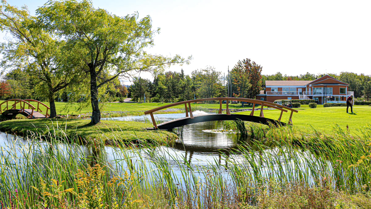 Étang et petit pont sur un terrain de golf