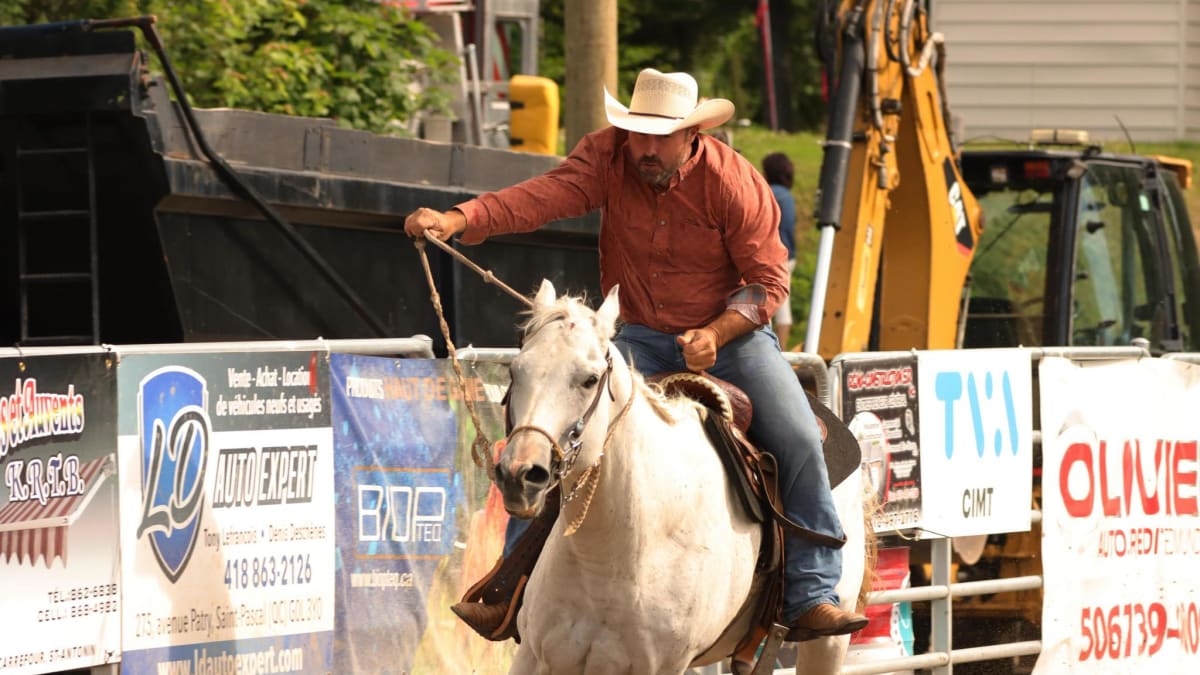 Man on a horse in a rodeo.